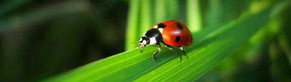 dataconsult joachim groth e.k.  -  Preisliste