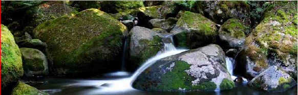 Plan-S: die Kapazittsplanung und -steuerung fr kleinere Produktionsbetriebe